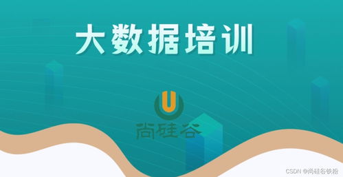 零基礎入門大數據開發技術 從構建知識體系到實戰的完整路徑