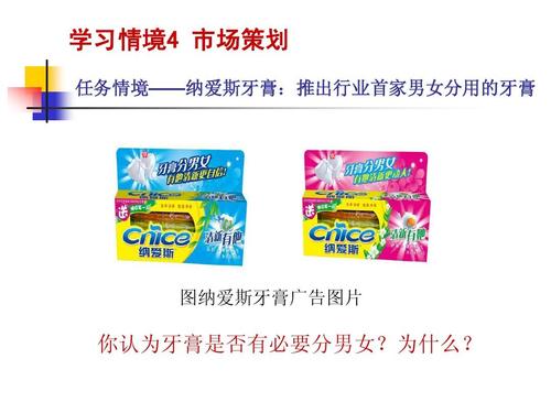 市場營銷第二版學(xué)習(xí)情境4市場策劃簡明教程ppt課件